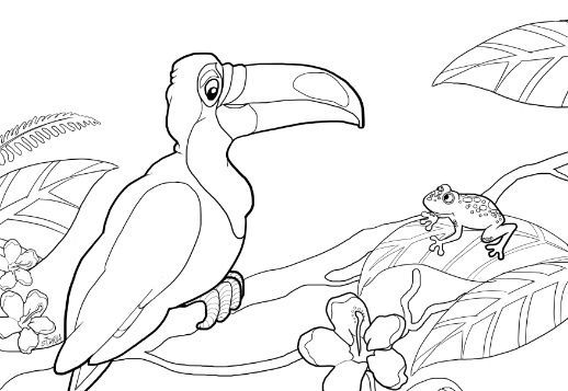 Vizato njё Tukan  Vorschau