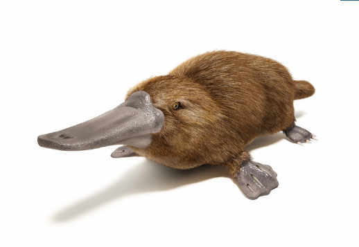 Unike dhe e pazakontë Vorschau